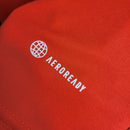 Camisa Internacional Home 23/24 - Torcedor Masculina-Krauze Sports